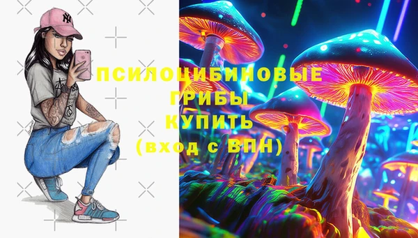 a pvp Алзамай