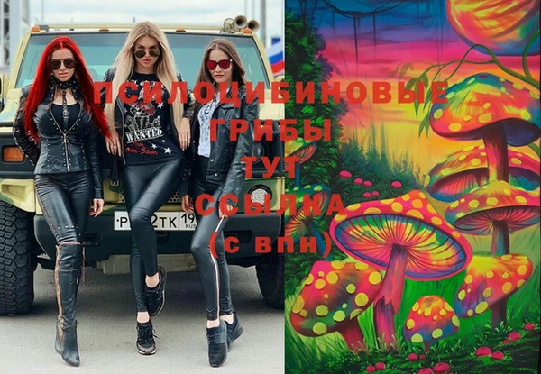 круглые Алексеевка