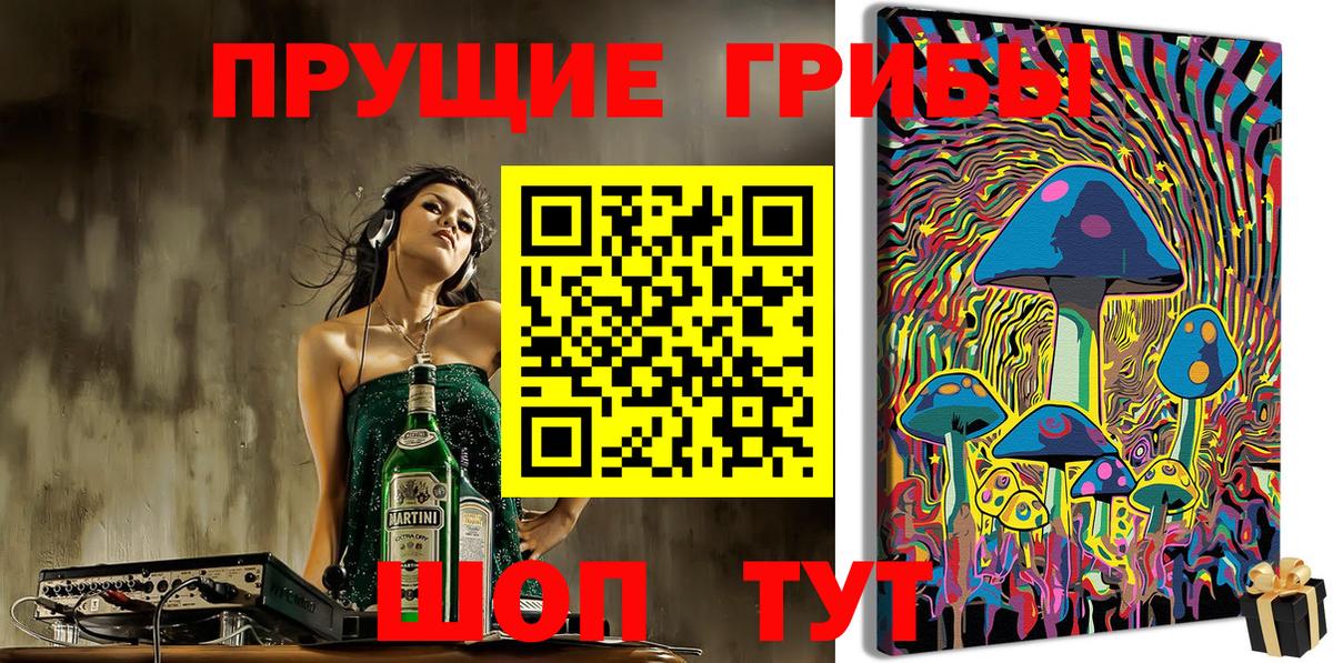 Истра  Галлюциногенные грибы прущие грибы  Галлюциногенные грибы MAGIC MUSHROOMS  Вход с VPN 