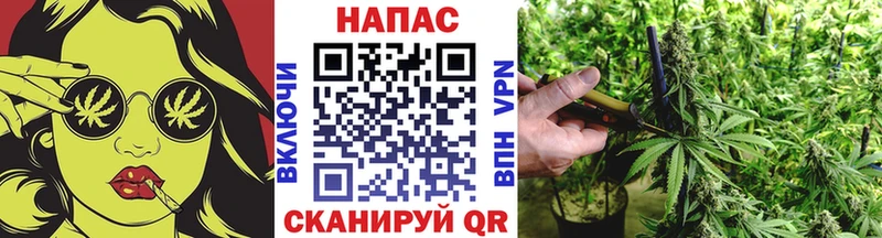 Канабис планчик  Истра 